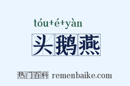 头鹅燕是什么意思的图片